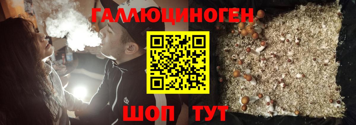 Кызыл  Галлюциногенные грибы Psilocybe  Вход с VPN 