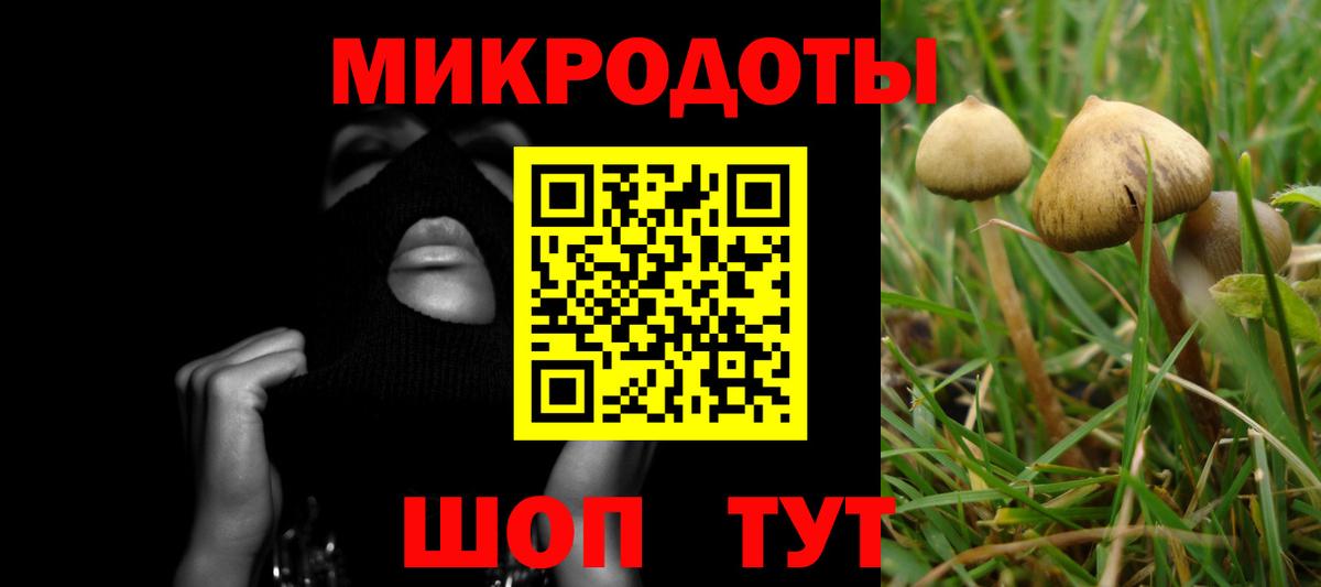 Псилоцибиновые грибы прущие грибы Кызыл